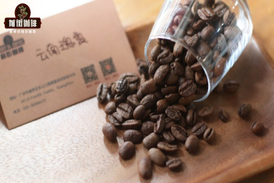 低酸耶加雪啡怎么喝，黑咖啡与奶咖各有答案