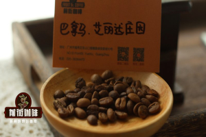 摩卡壶美式豆怎么选：黑咖啡与奶咖分开看