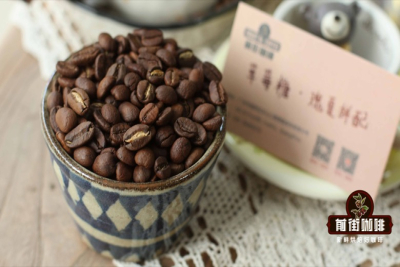 SOE咖啡豆推荐：看懂产区与处理法