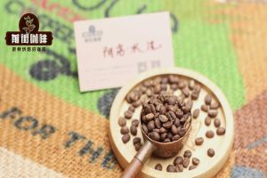 早起要清爽熬夜要浓郁，把日常时刻表对准这几包高性价比手冲豆