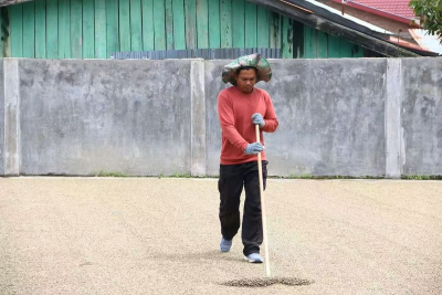 低咖啡因手冲豆价位解析：每袋五十到上百元能喝到哪些风味