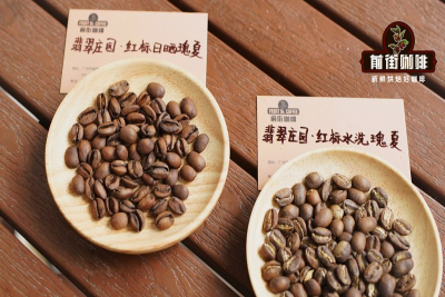 每100克30至150元，耶加雪啡怎么挑