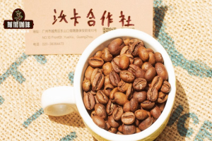 亲测无限回购！从平价口粮到进阶精品，这几支咖啡豆风味太惊艳了