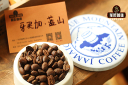 手冲咖啡冲煮细节｜单品豆磨成咖啡粉要怎么冲？做手冲要闷蒸吗？手冲咖啡注水手法萃取参数介绍