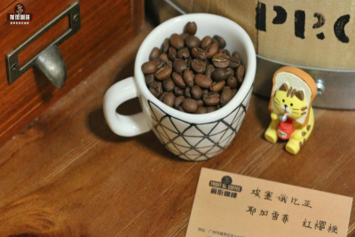滤泡式咖啡冲泡方法｜挂耳咖啡怎么冲泡 能冲几次？制作一杯挂耳黑咖啡要用多少水？
