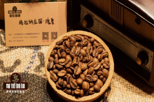 黑咖啡与奶咖，坚果可可豆这样选
