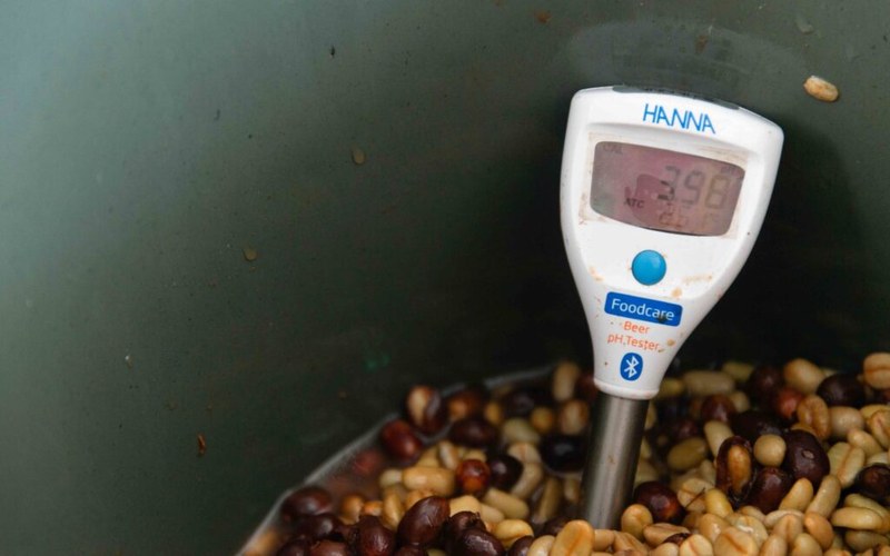 摩卡壶怎么煮出浓郁油脂？分享30到80元平价豆风味与实操